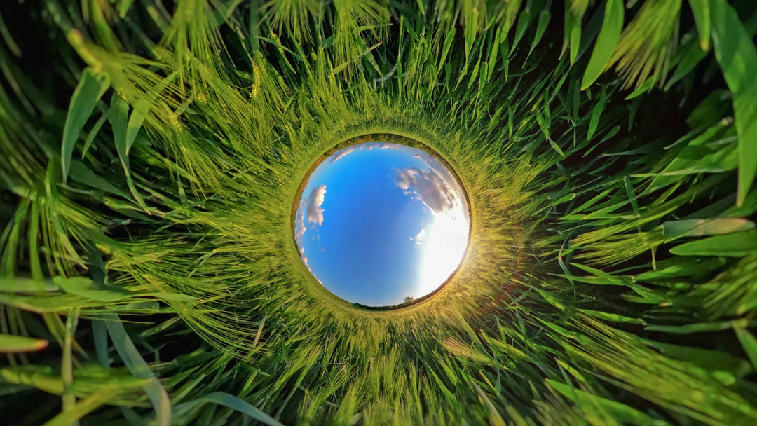 Metallic sphere embedded in grass with a reflective surface