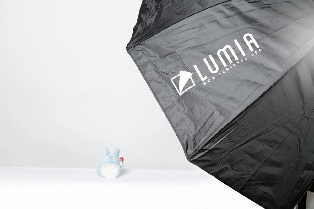 Lumia Umbrella style softbox 120cm with grid - Red Dot Photo